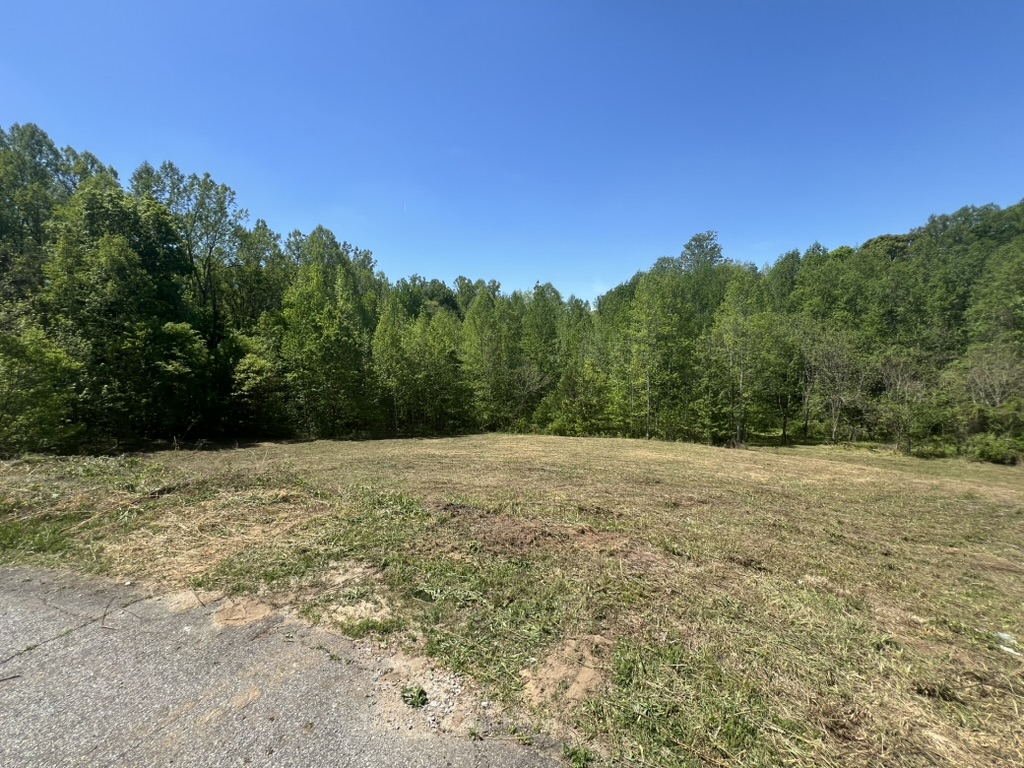Bushhog of 2 acre field